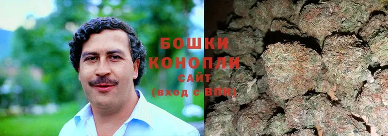 Конопля THC 21%  Куровское 